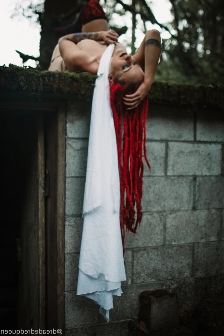 Persephone [ dreadedredqueen ] Onlyfans leaked photo 13180794 on Hotleaks.tv