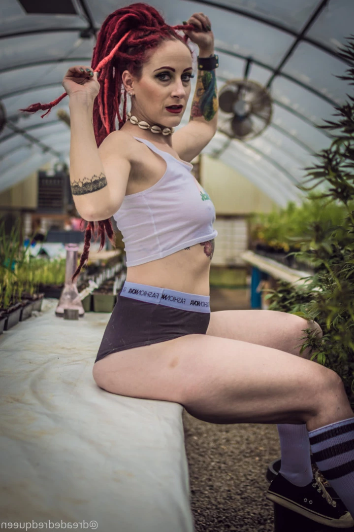 Persephone [ dreadedredqueen ] Onlyfans leaked photo 13536305 on Hotleaks.tv
