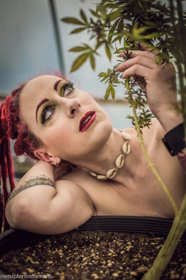 Persephone [ dreadedredqueen ] Onlyfans leaked photo 13666242 on Hotleaks.tv