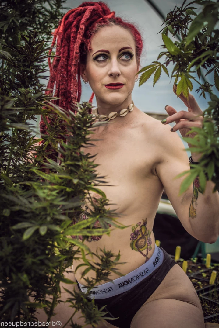 Persephone [ dreadedredqueen ] Onlyfans leaked photo 13729826 on Hotleaks.tv
