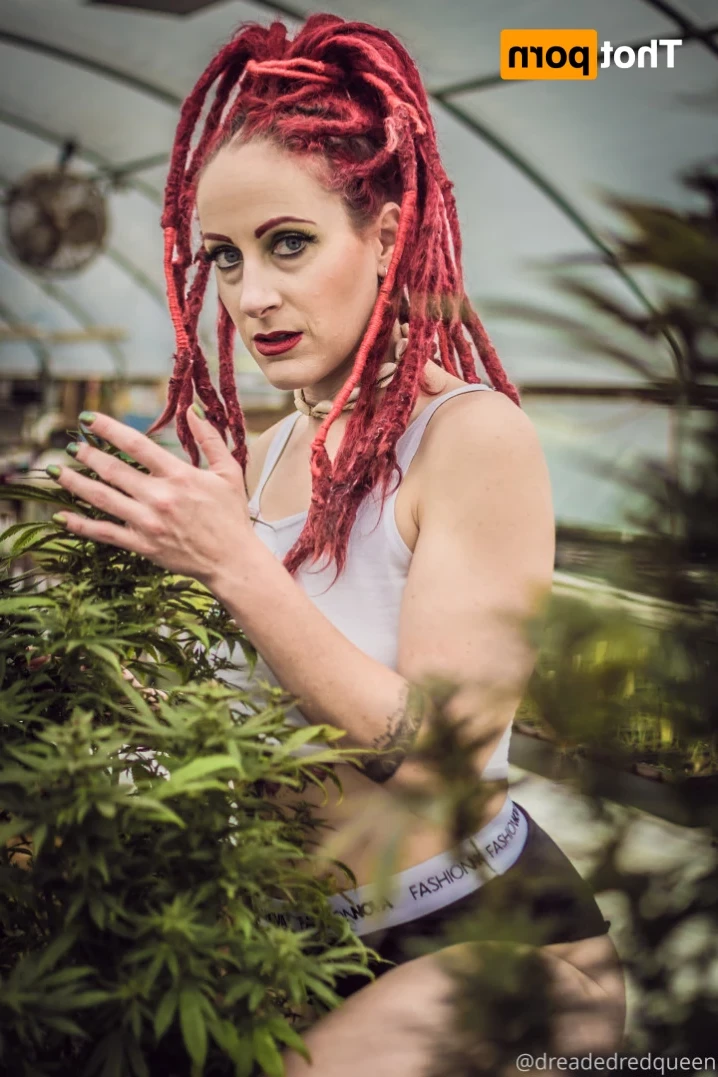 Persephone [ dreadedredqueen ] Onlyfans leaked photo 13803541 on Hotleaks.tv