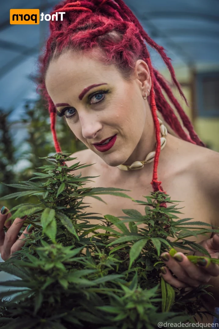Persephone [ dreadedredqueen ] Onlyfans leaked photo 14634577 on Hotleaks.tv
