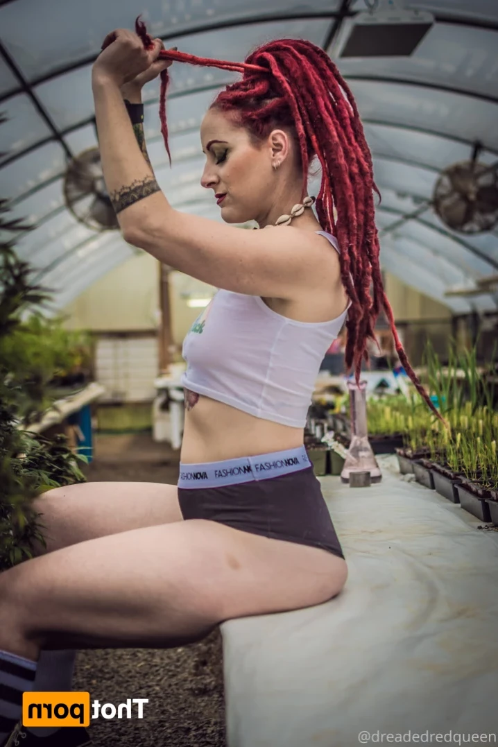 Persephone [ dreadedredqueen ] Onlyfans leaked photo 14663554 on Hotleaks.tv