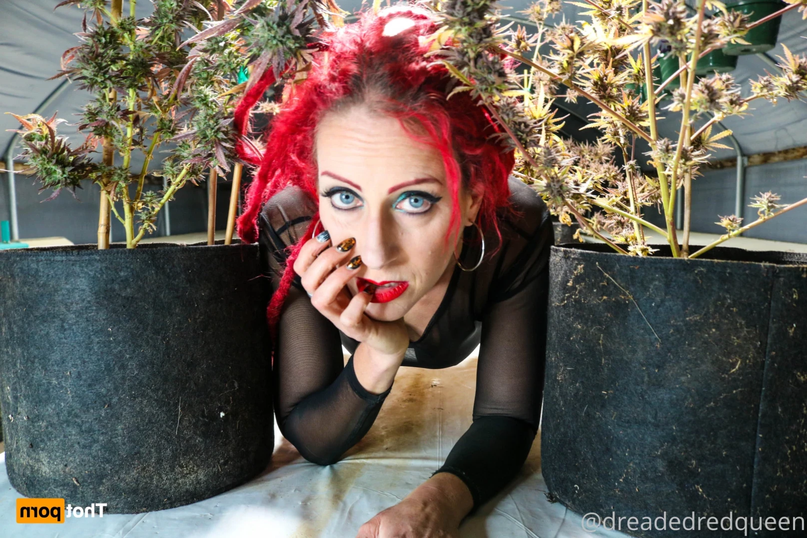 Persephone [ dreadedredqueen ] Onlyfans leaked photo 15077354 on Hotleaks.tv