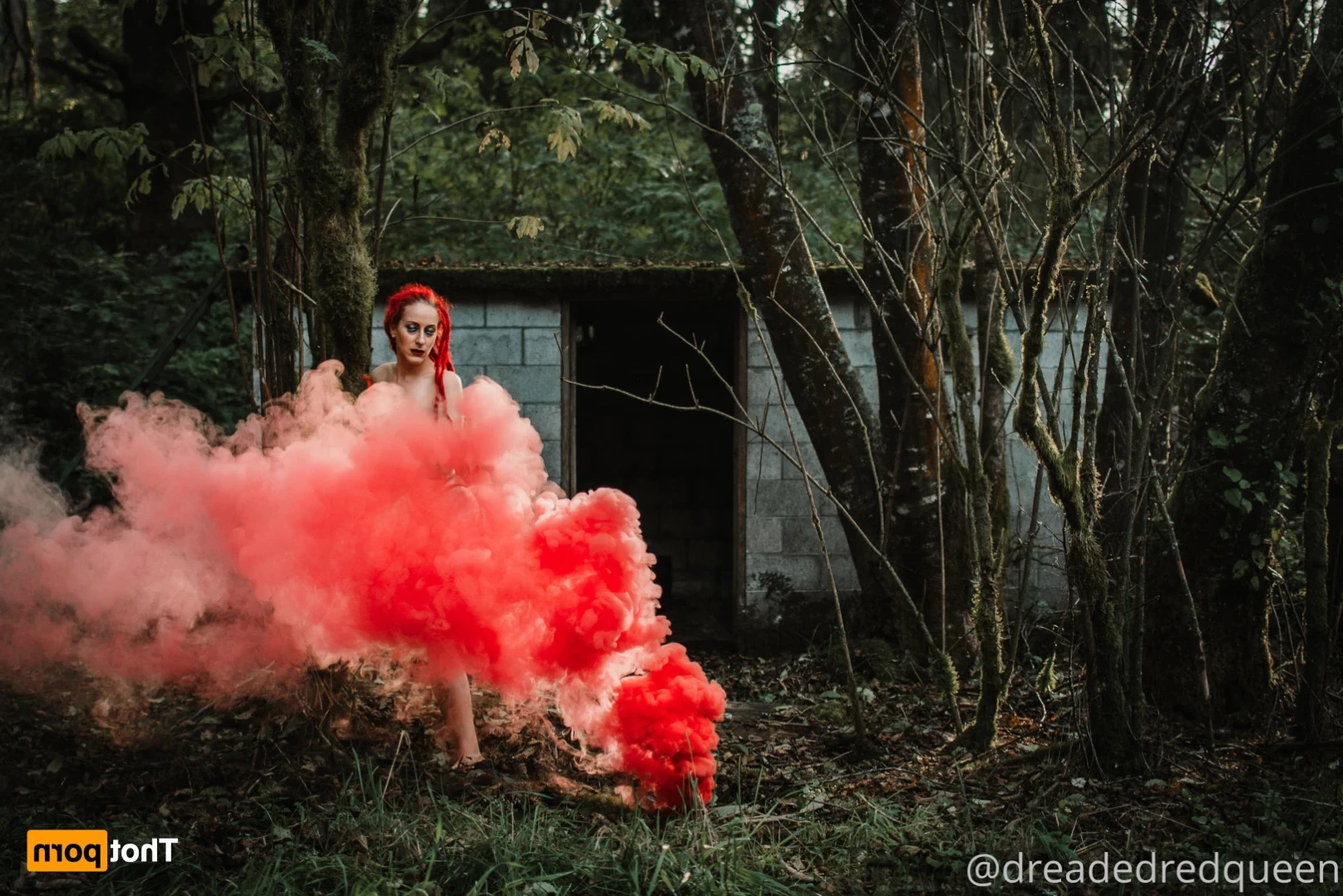 Persephone [ dreadedredqueen ] Onlyfans leaked photo 15327543 on Hotleaks.tv