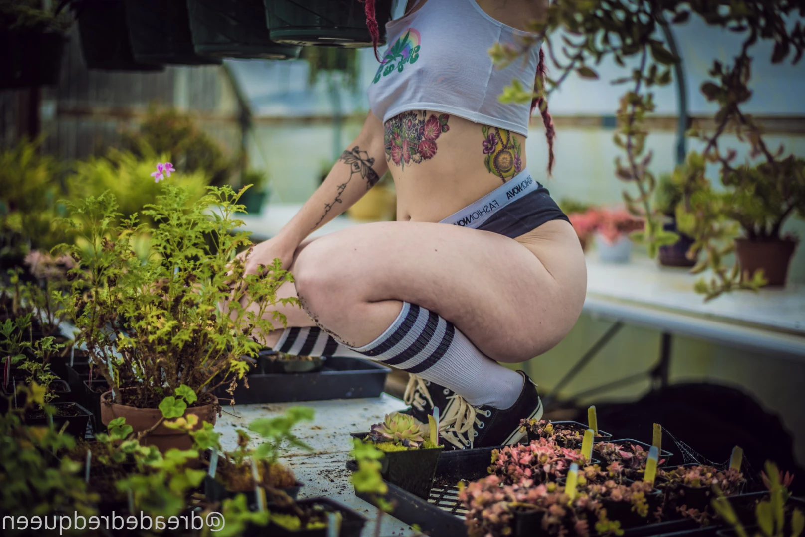 Persephone [ dreadedredqueen ] Onlyfans leaked photo 15911490 on Hotleaks.tv