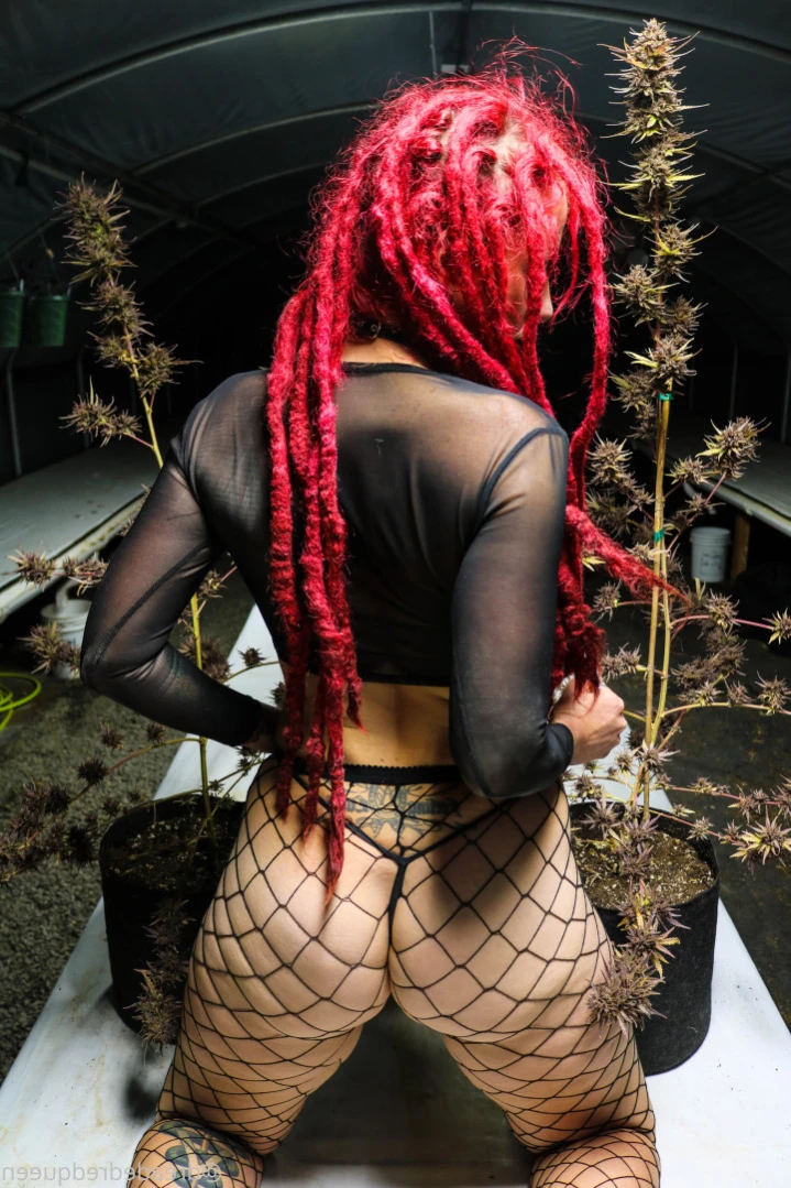 Persephone [ dreadedredqueen ] Onlyfans leaked photo 15922539 on Hotleaks.tv