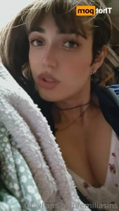 11355023