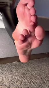 14856558