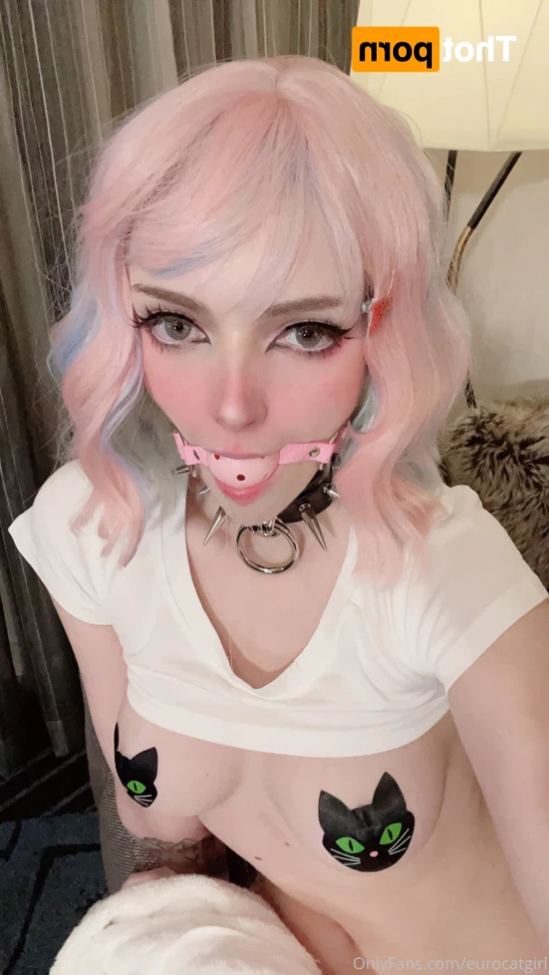 eurocatgirl Onlyfans leaked photo 12329152 on Hotleaks.tv