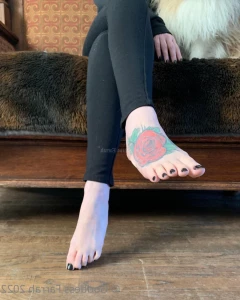 15444151