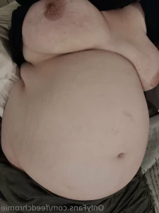 15271148