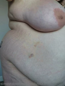 16186341