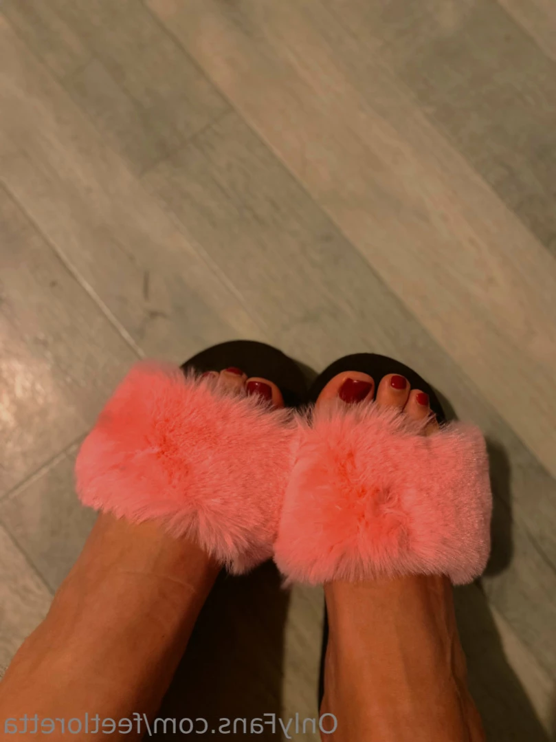 feetloretta Onlyfans leaked photo 14449138 on Hotleaks.tv