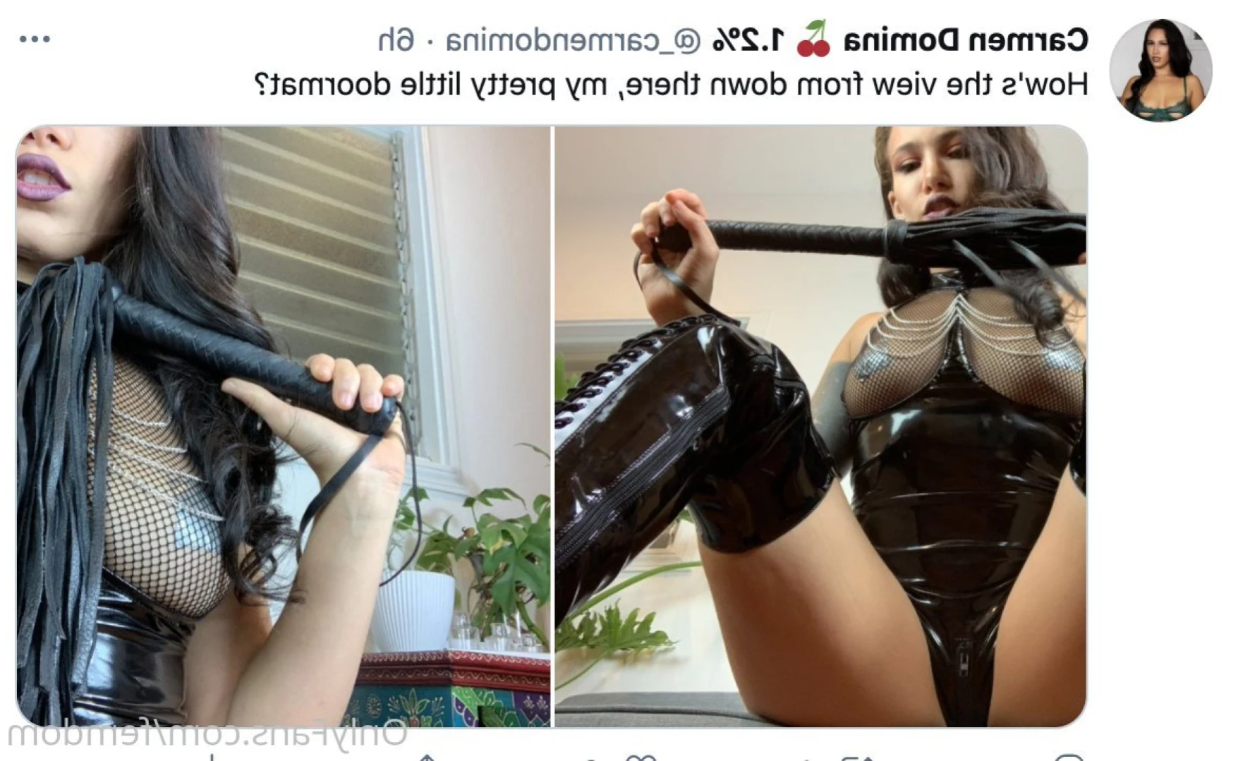 Carmen Domina [ femdom ] Onlyfans leaked photo 13953932 on Hotleaks.tv