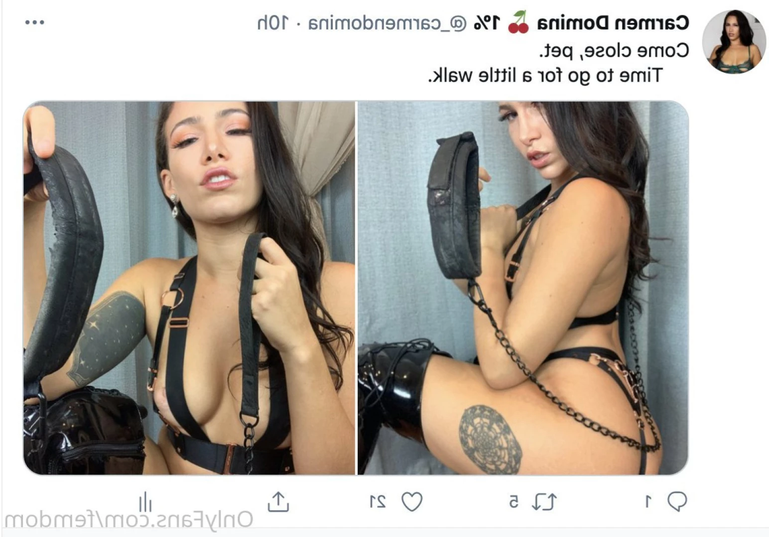 Carmen Domina [ femdom ] Onlyfans leaked photo 15508579 on Hotleaks.tv