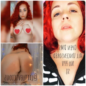 11848635