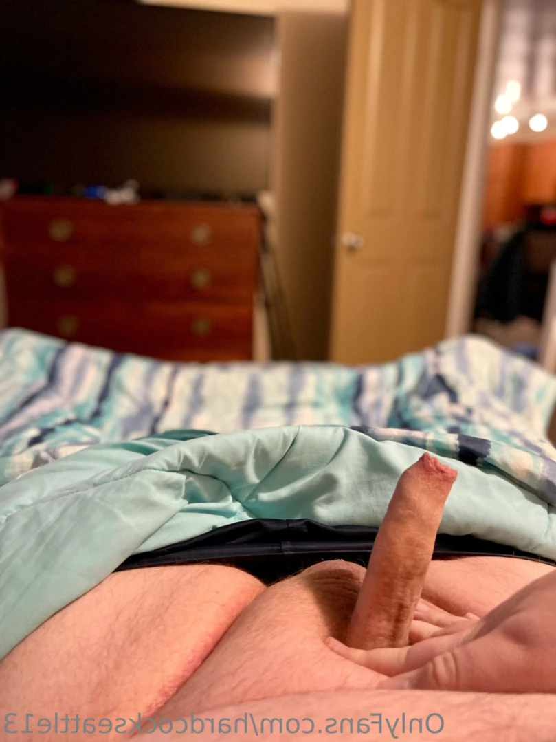 Big Boy [ hardcockseattle13 ] Onlyfans leaked photo 14789064 on Hotleaks.tv