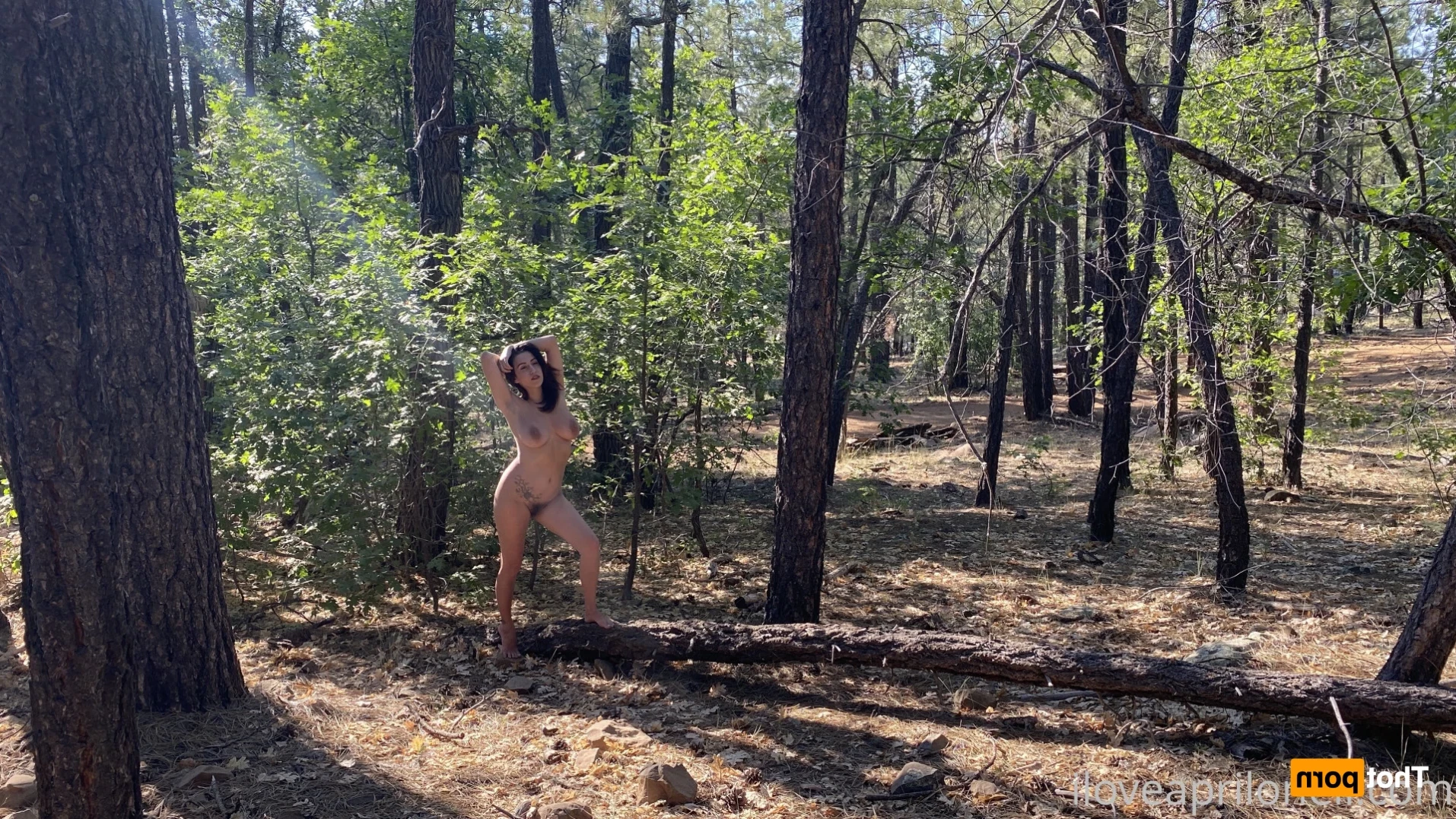 April O’Neil [ heyitsapril ] Onlyfans leaked photo 14341154 on Hotleaks.tv