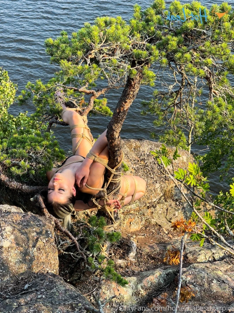 🍯🇸🇪 Honeybabe 🇸🇪🍯 [ honeybabesugarpiie ] Onlyfans leaked photo 12812440 on Hotleaks.tv