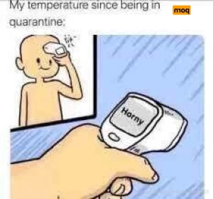 16168363