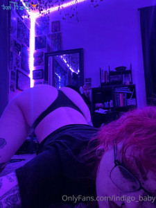 17504069