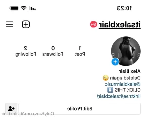 16305247