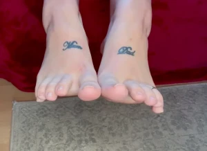 15592906