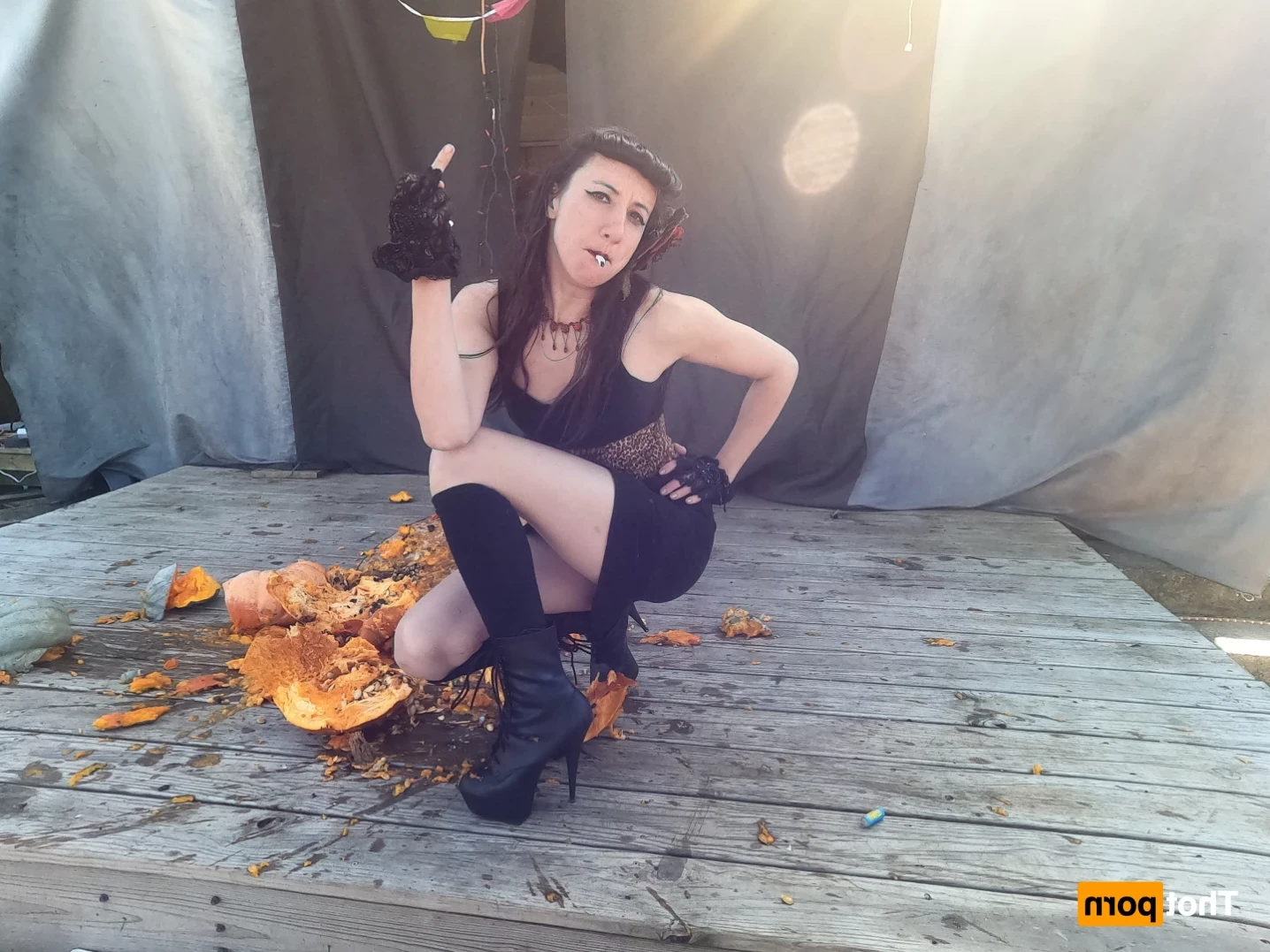 Kat Calico [ katcalico ] Onlyfans leaked photo 14888274 on Hotleaks.tv