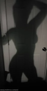 16205861