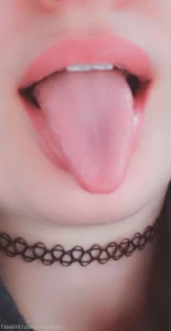 16235577