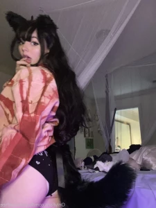 11312155