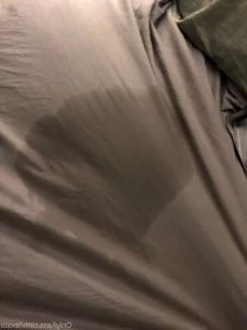 13237368