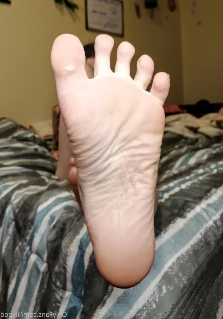 Lilypod 💙's FEET! 👣 [ lilypod ] Onlyfans leaked photo 14658773 on Hotleaks.tv