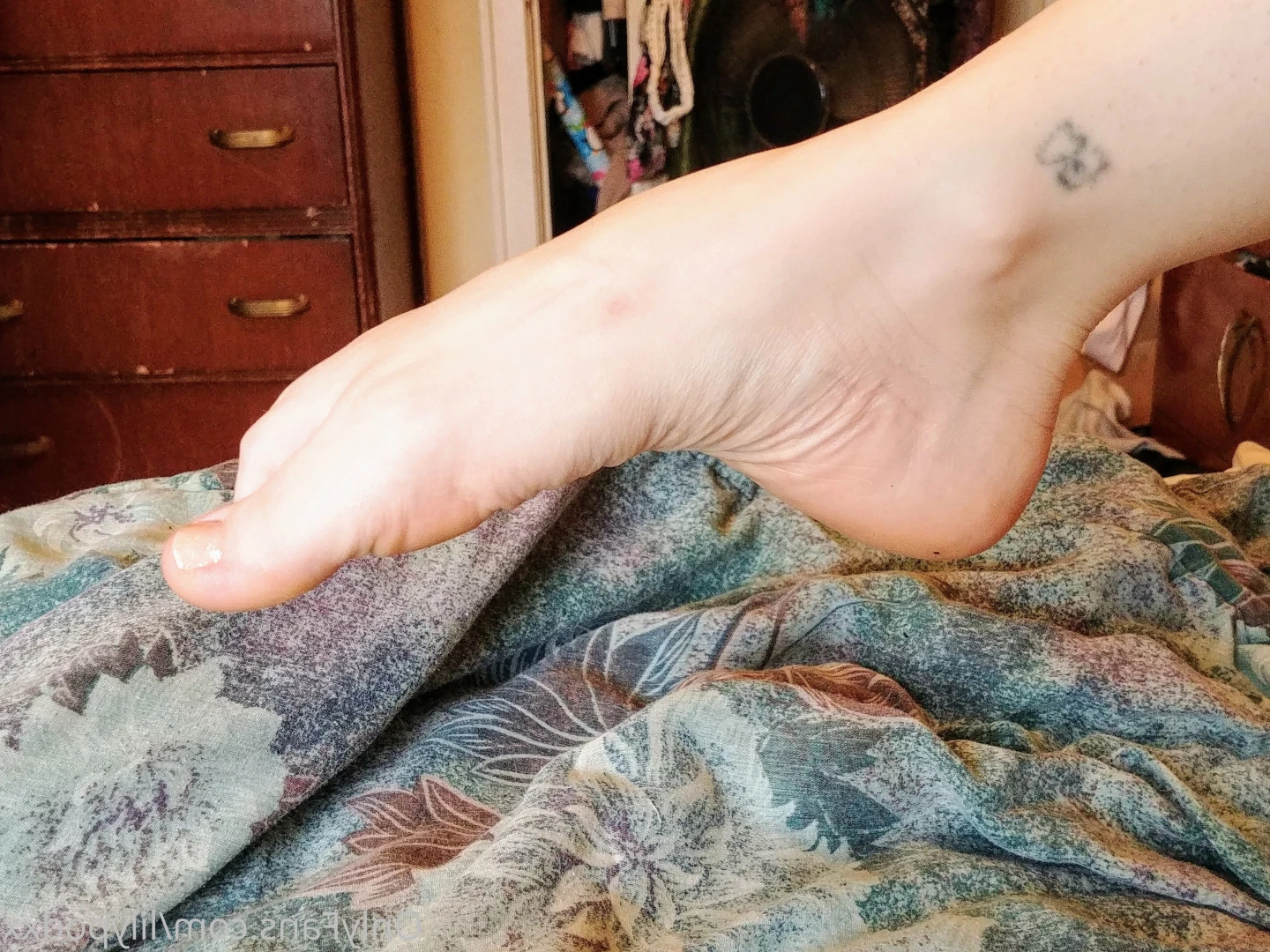 Lilypod 💙's FEET! 👣 [ lilypod ] Onlyfans leaked photo 14680292 on Hotleaks.tv