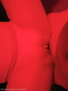 16281932