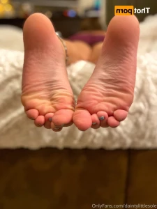 14638597