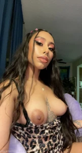 16203788
