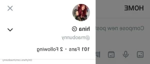 12109067