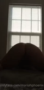 18137916