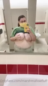18137667