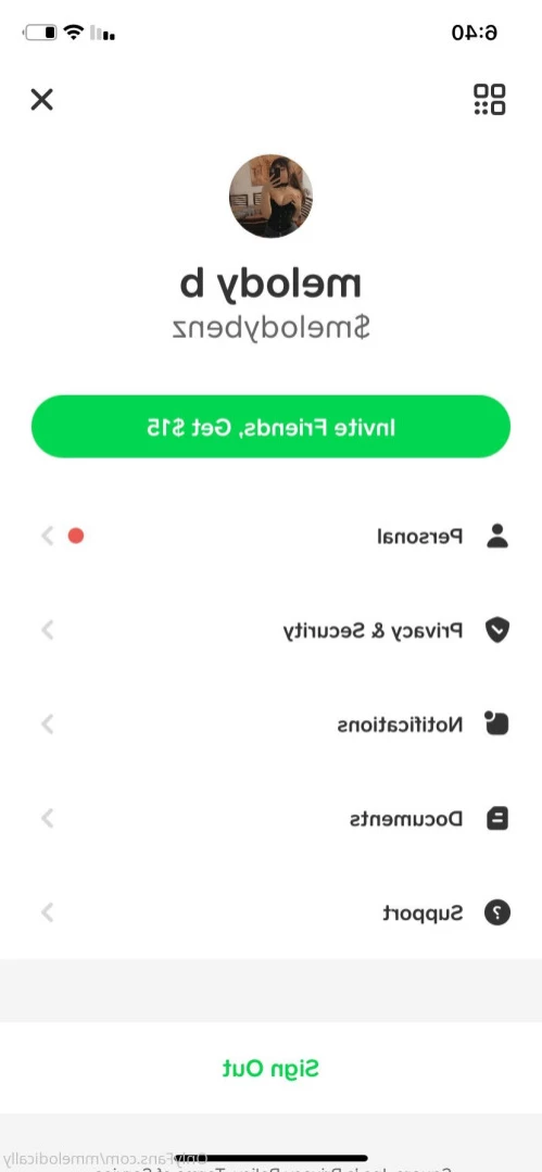 mel ❤︎ [ melodical ] Onlyfans leaked photo 11747942 on Hotleaks.tv