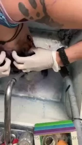 Miss Arcana [ missarcana ] Onlyfans leaked video 18133239 on Hotleaks.tv
