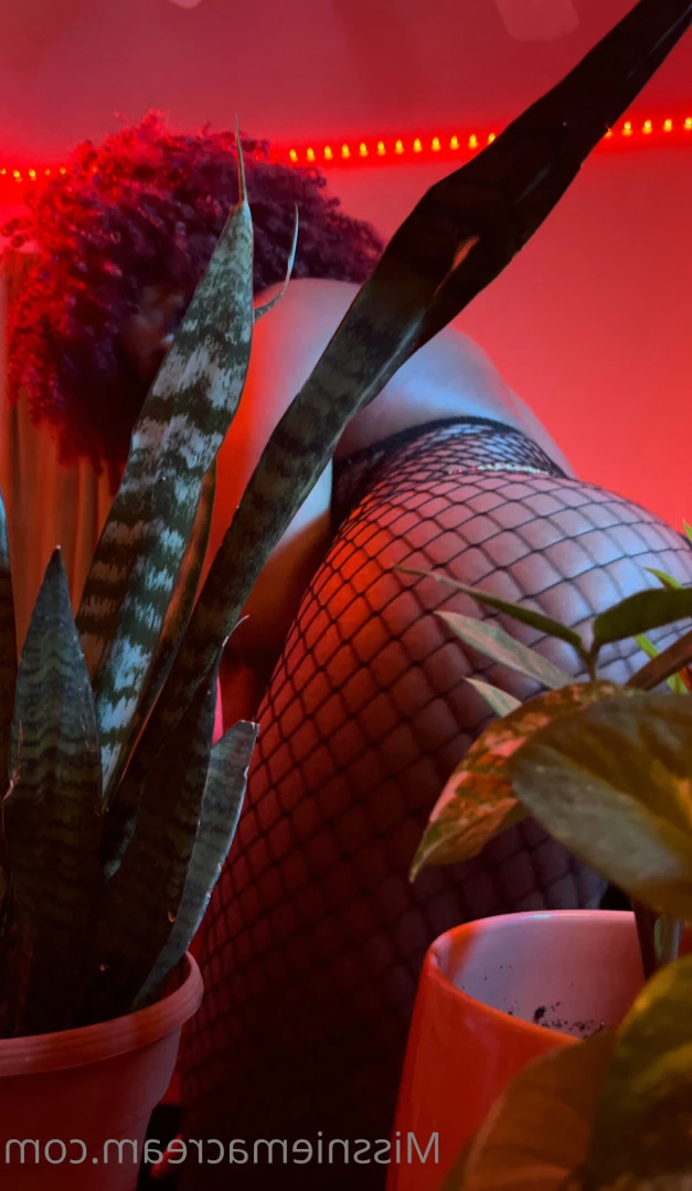 𝓐𝓷𝓪𝓵 𝓠𝓾𝓮𝓮𝓷 [ missniemacream ] Onlyfans leaked photo 12552917 on Hotleaks.tv