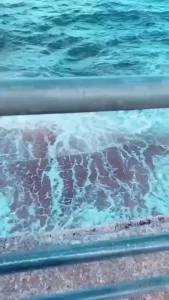 Reina [ missreinat ] Onlyfans leaked video 18130784 on Hotleaks.tv