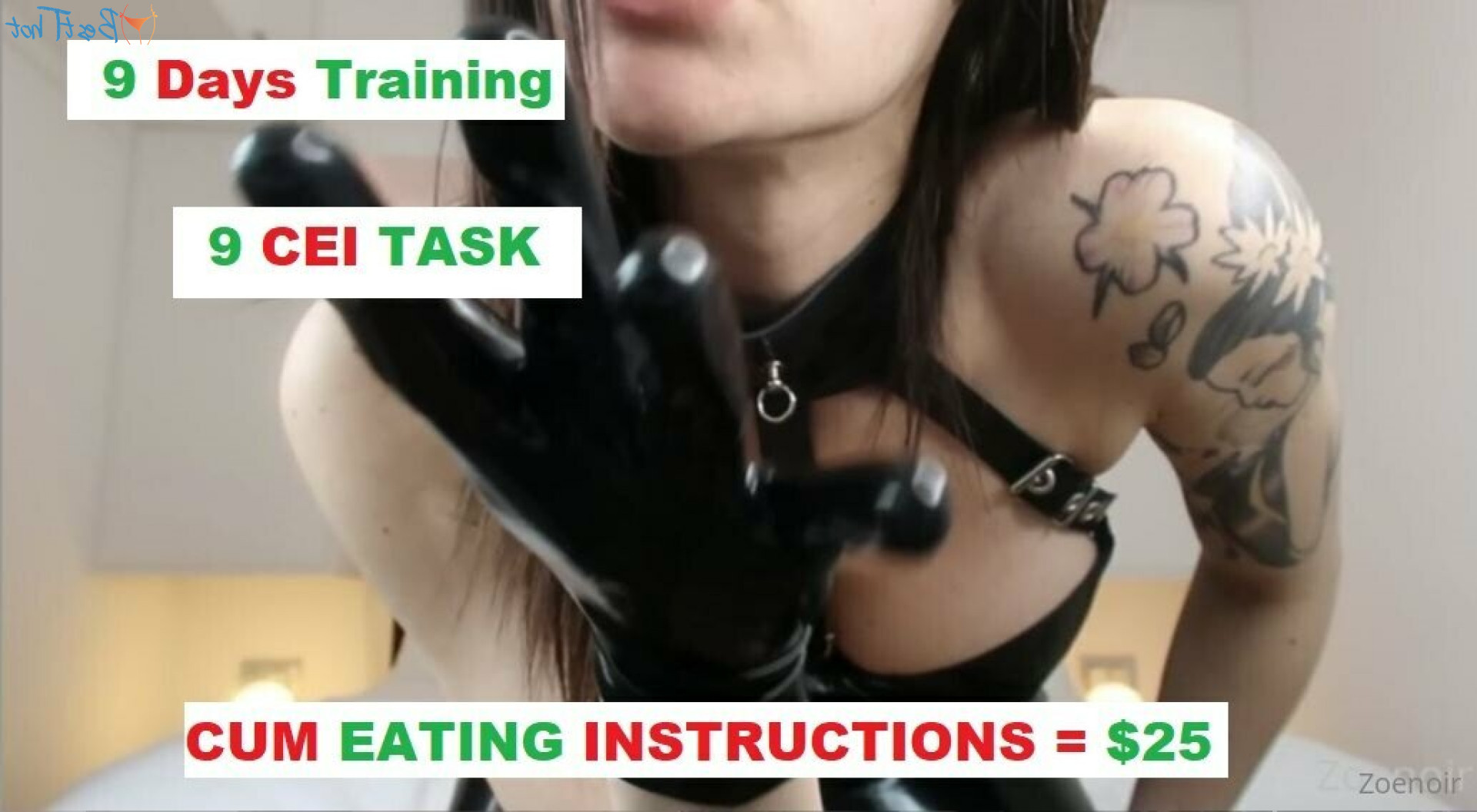 mistresszoenoir Onlyfans leaked photo 17047744 on Hotleaks.tv