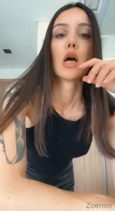 15206931