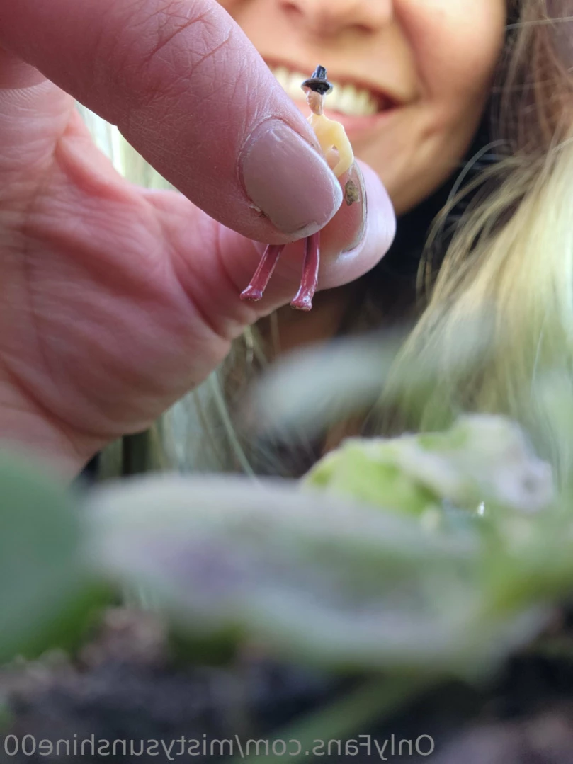 Giantess Misty [ mistysunshine00 ] Onlyfans leaked photo 11762804 on Hotleaks.tv