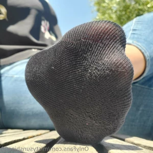 15491611