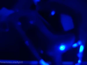 16090213